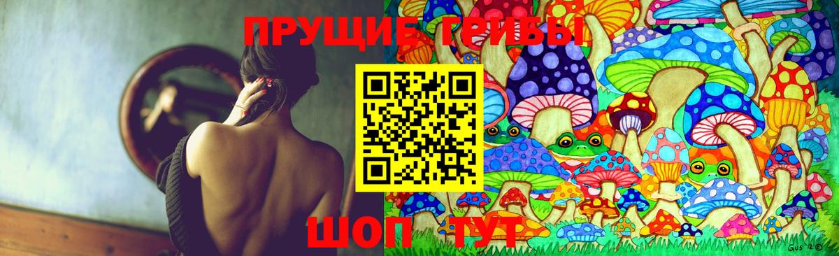Псилоцибиновые грибы GOLDEN TEACHER  Вход с VPN  Кировск 
